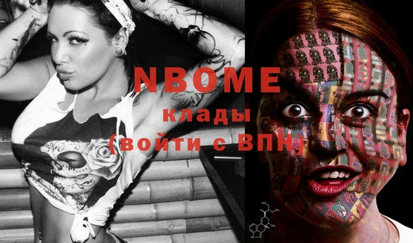 PSILOCYBIN Балахна
