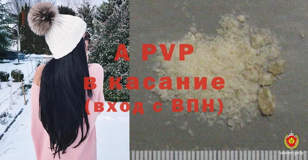 PSILOCYBIN Балахна