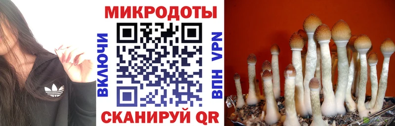 Галлюциногенные грибы Cubensis  Онега 
